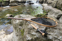 fishing rod and net